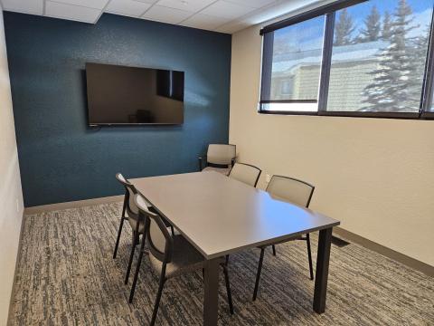 The Mountain lion study room at the North branch library in silverthorne