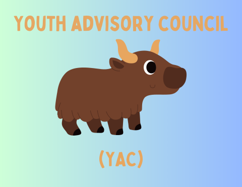 yac image and youth advisory council (YAC)