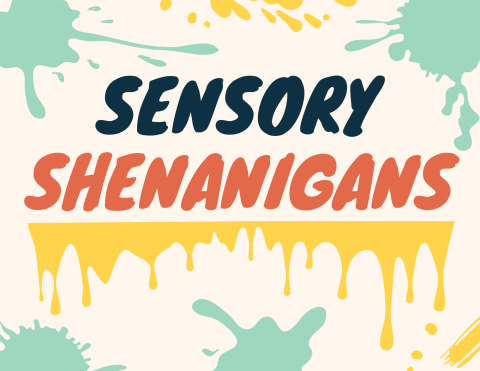 Sensory Shenanigans