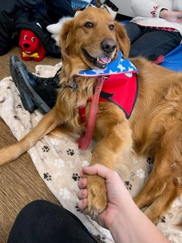 Reading dog Owen meets a friend