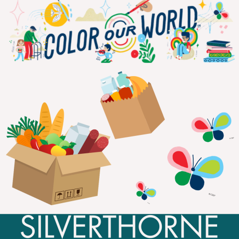 Boxes of groceries and colorful butterflies framed by banners reading "Color our World" and "Silverthorne" to designate that this event is happening through the North Branch Library
