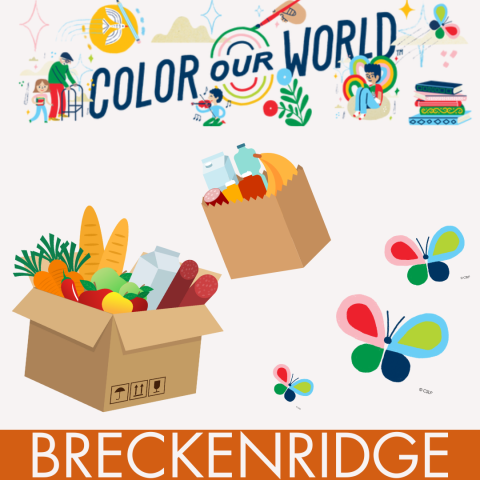 Boxes of groceries and colorful butterflies framed by banners reading "Color our World" and "Silverthorne" to designate that this event is happening through the South Branch Library