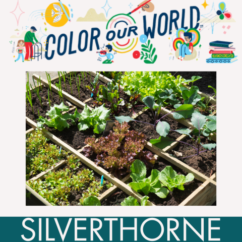A picture of green plants growing in a garden framed by a banner reading "Color our World" and "Silverthorne" to designate the North Branch Library as the location for this event