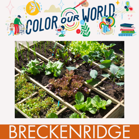 A picture of green plants growing in a garden framed by a banner reading "Color our World" and "Silverthorne" to designate the South Branch Library as the location for this event