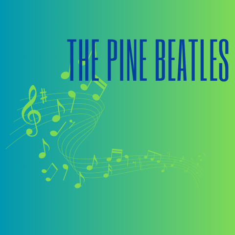 Pine beatles with music notes 