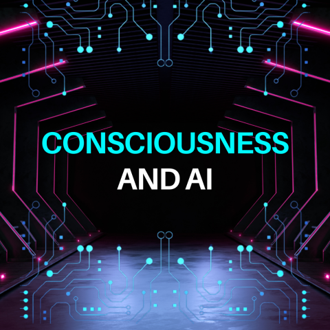 Consciousness and AI
