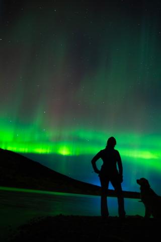 northern lights with woman and dog