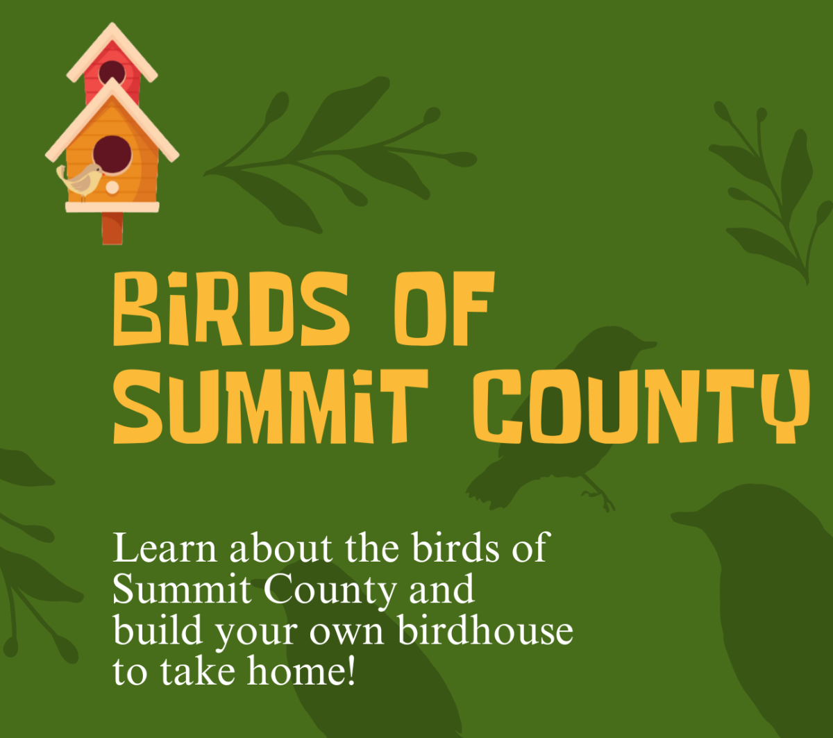 Birds of Summit County Class 