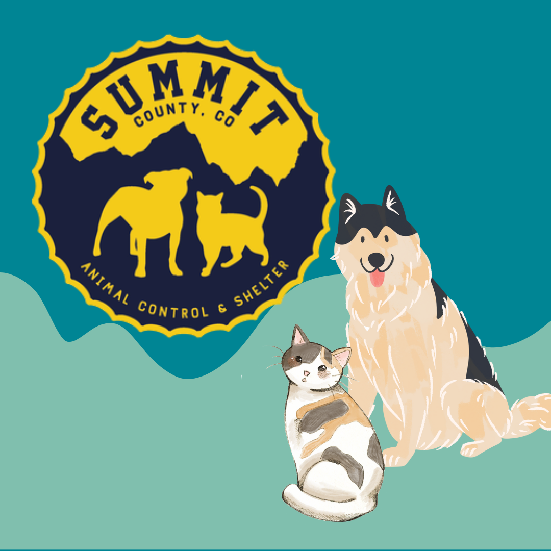 Summit County Animal Shelter and Animal Control