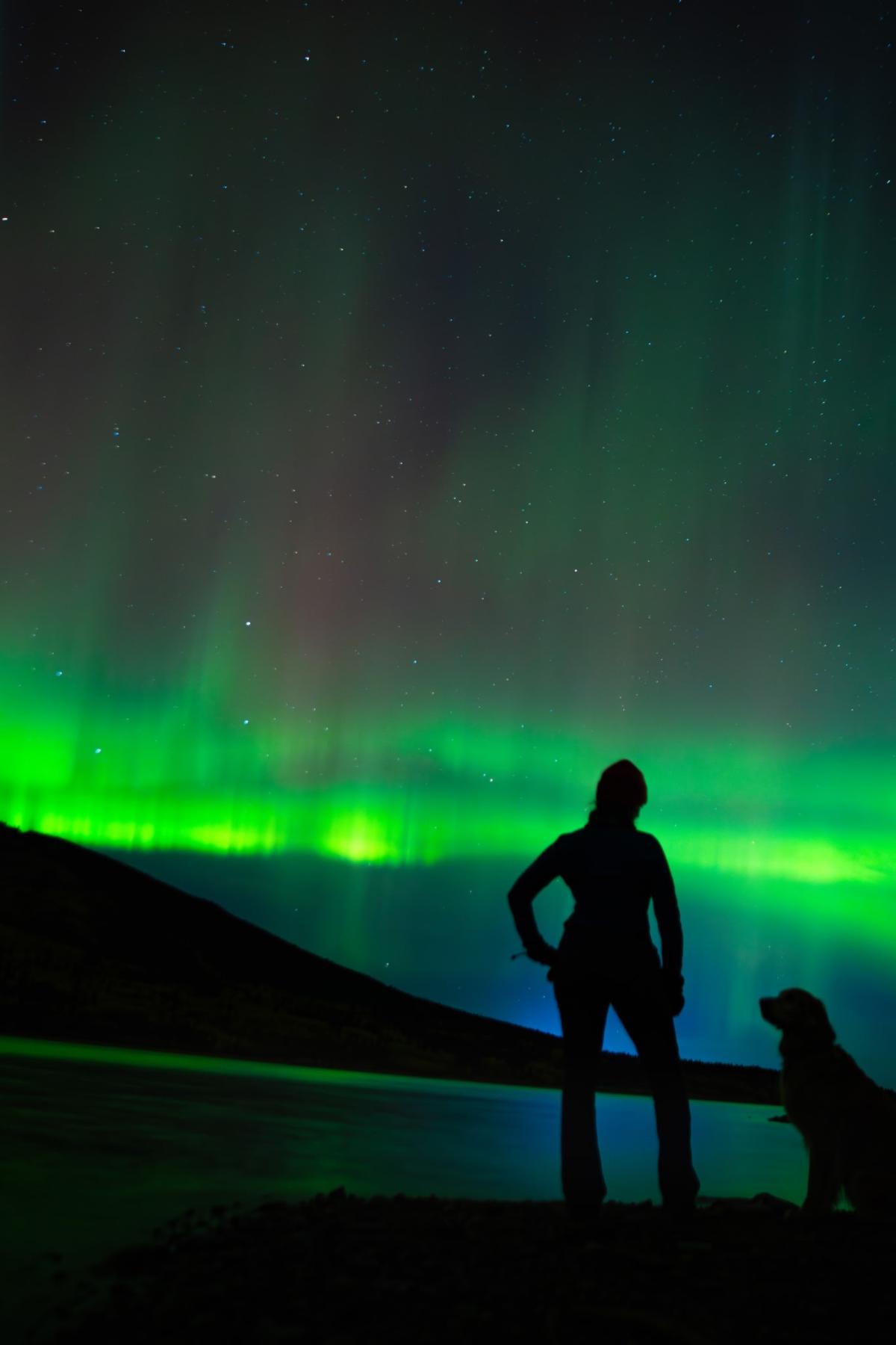 northern lights with woman and dog